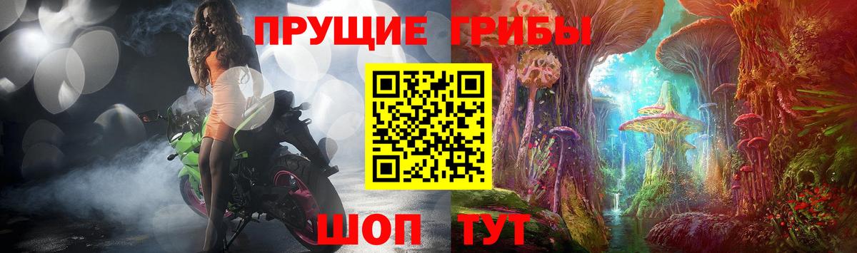 Галлюциногенные грибы GOLDEN TEACHER  Вход с VPN  Псилоцибиновые грибы мухоморы  Нижнеудинск 