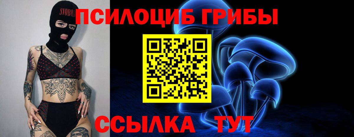 Псилоцибиновые грибы Psilocybe Нижнеудинск